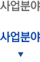 사업분야